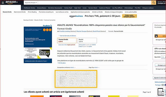 Exemple d'une publicité en ligne Amazon